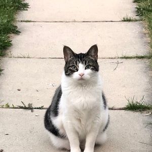 Meet your Posher, Melinda